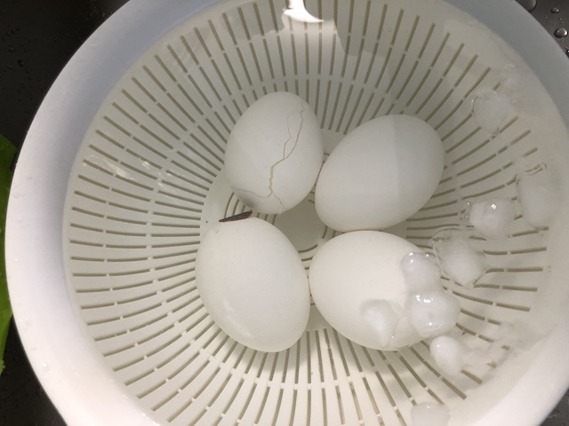 ゆで卵を冷やす
